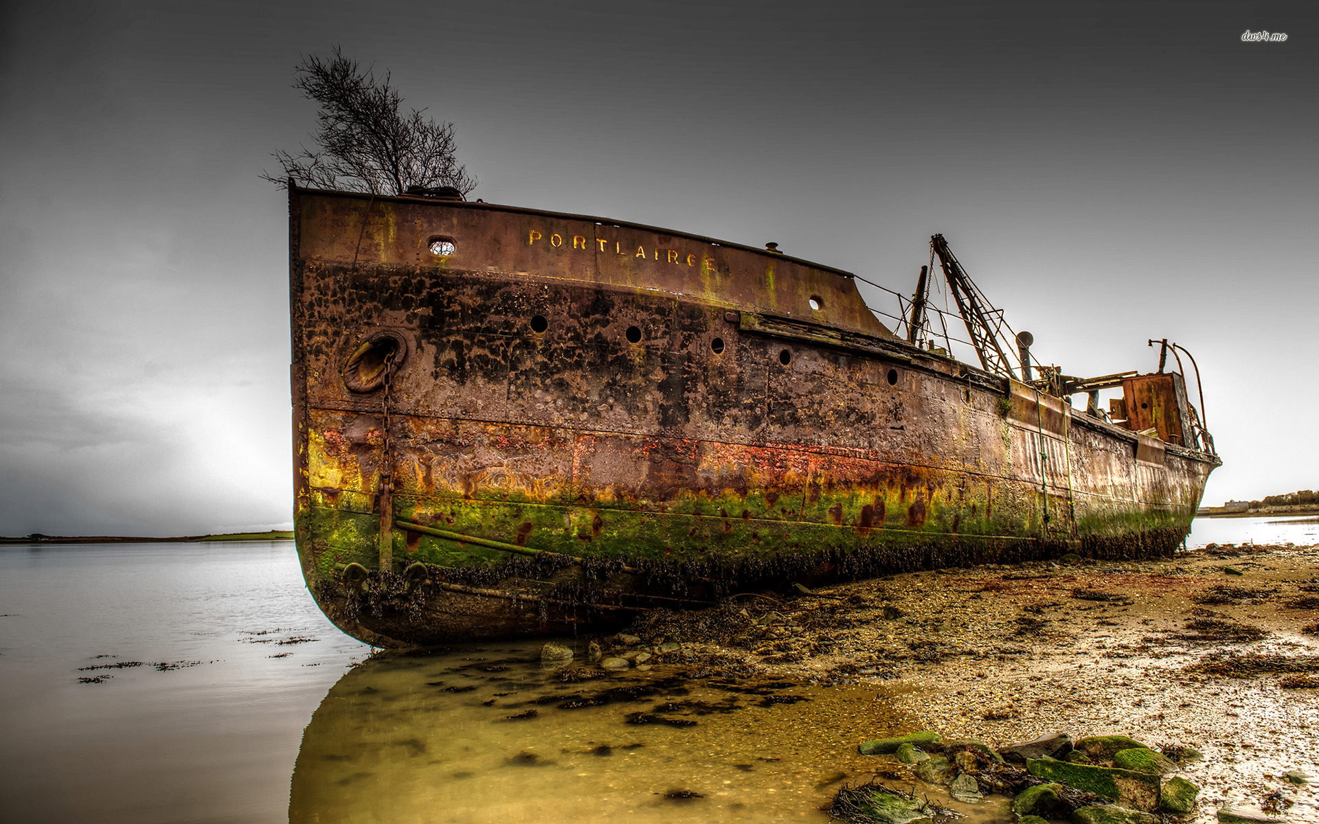 abandoned-ships-at-sea-to-see-on-your-own-eyes
