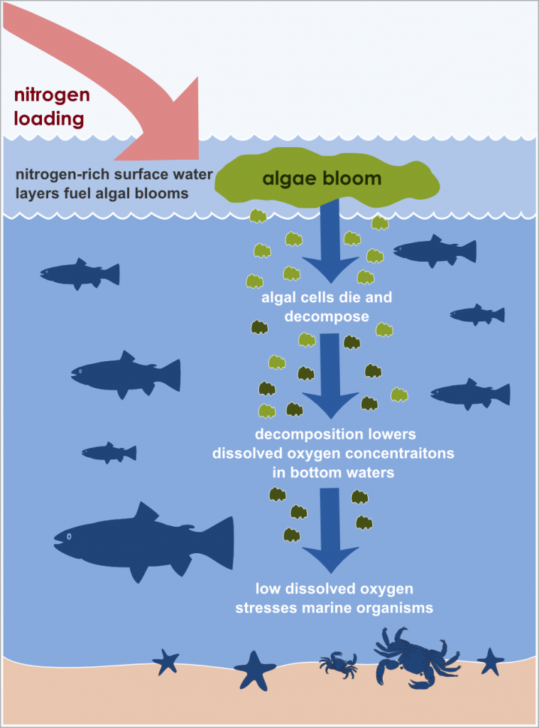 Facts About Fish: Fishes That Lived Longer without Water