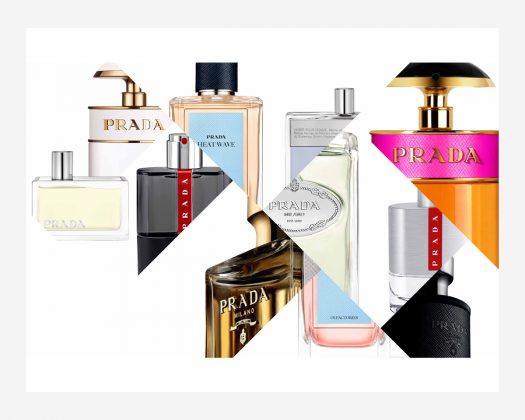 Choosing a Signature Scent - Basics of Perfume Choosing