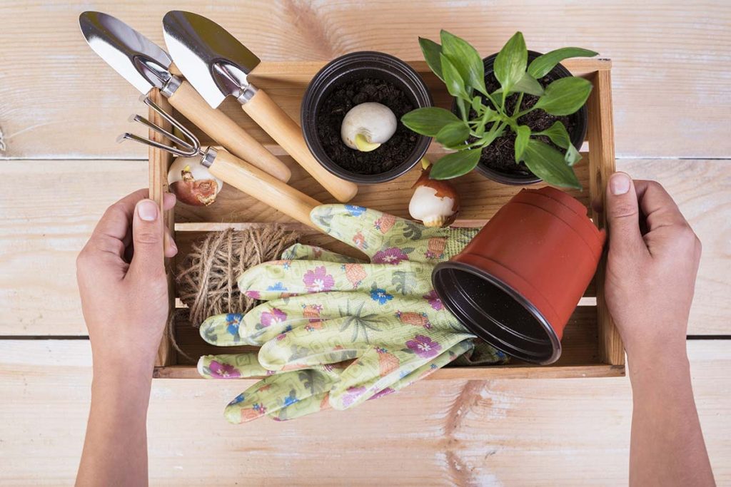 Essential Indoor Gardening Tools - basic indoor gardening tools