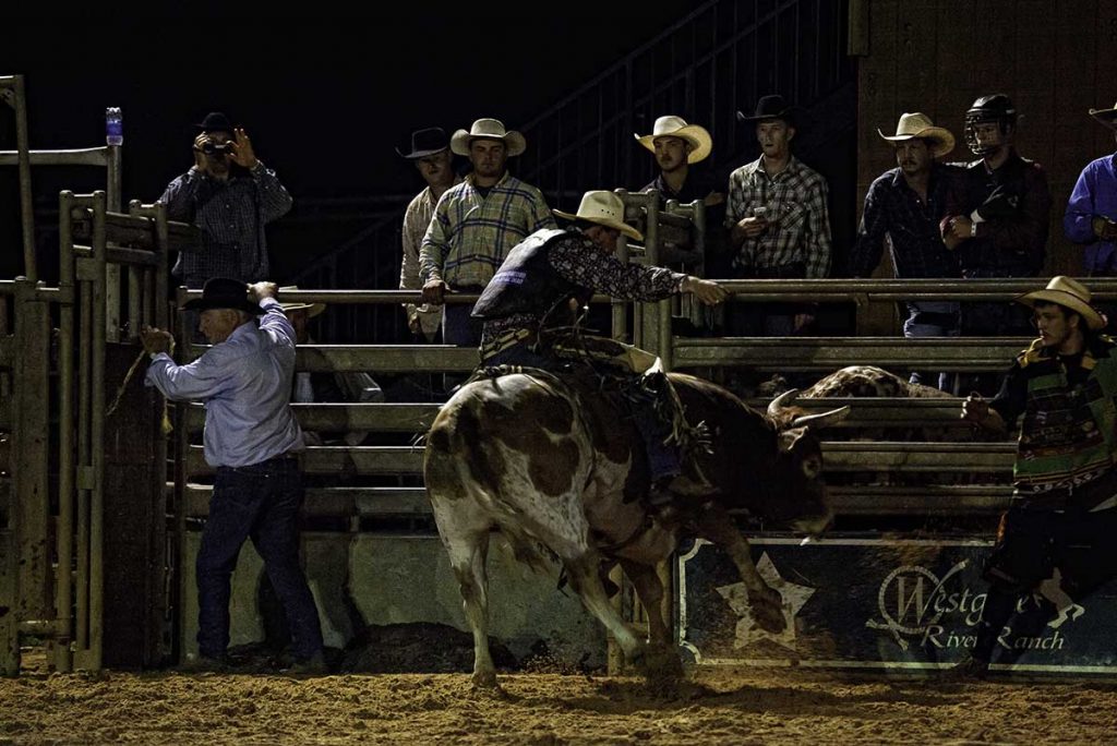 The 10 Best Rodeos in Florida The Westgate River Ranch Resort