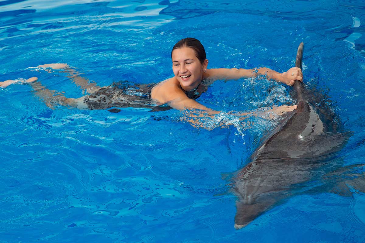 Dolphin Experiences in Cancun