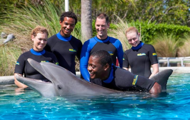 Best Things to Do at Miami Seaquarium